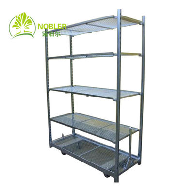 Belanja 100kg / Shelf PP Wheel Q235 Nursery Plant Carts