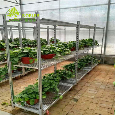Belanja 100kg / Shelf PP Wheel Q235 Nursery Plant Carts