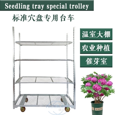 Kayu Lapis Danish Trolley Dutch Nursery Cart Danish Trolley Rust Proof
