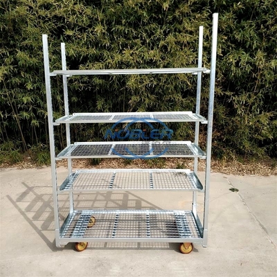 Belanda Trolley Cc Container Rack Bunga Pengiriman Denmark Trolley Cart