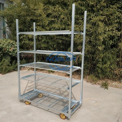 Belanda Trolley Cc Container Rack Bunga Pengiriman Denmark Trolley Cart