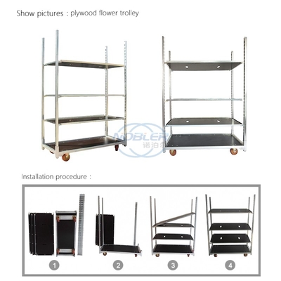 Qingdao Produsen Profesional Konvensional Spot Lapisan Bunga Mobil Volume Harga Besar