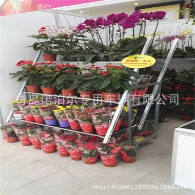 Tampilan Tipe Plywood Danish Flower Trolley Rust Prevention Assembly Nyaman