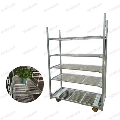 Karet Bunga Belanda yang awet Perawatan Permukaan Hot Dip Galvanizing Metal Mesh Mudah Mengumpulkan