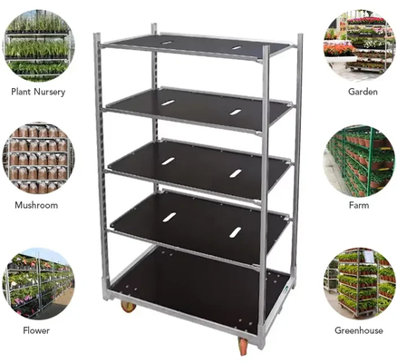 Kereta Troli Denmark untuk Penanaman Pertanian Berbalut Bubuk untuk Panen Rumah Kaca