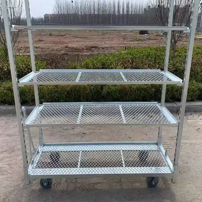 PP Wheel Dutch Flower Trolley tahan karat menawarkan tinggi rak 25cm Cocok untuk kebutuhan transportasi bunga profesional