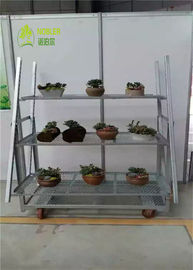 Tampilan Tipe Plywood Danish Flower Trolley Rust Prevention Assembly Nyaman