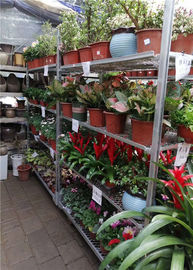 3 Tingkat Rak Supermarket Denmark Dengan 1.8x1800mm Post Dan 4 Rotating Castors