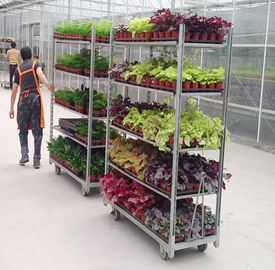 Hortikultura Denmark Flower Trolley Flower Seedling Cart 1350 * 565 * 1900mm