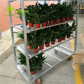 Hortikultura Denmark Flower Trolley Flower Seedling Cart 1350 * 565 * 1900mm