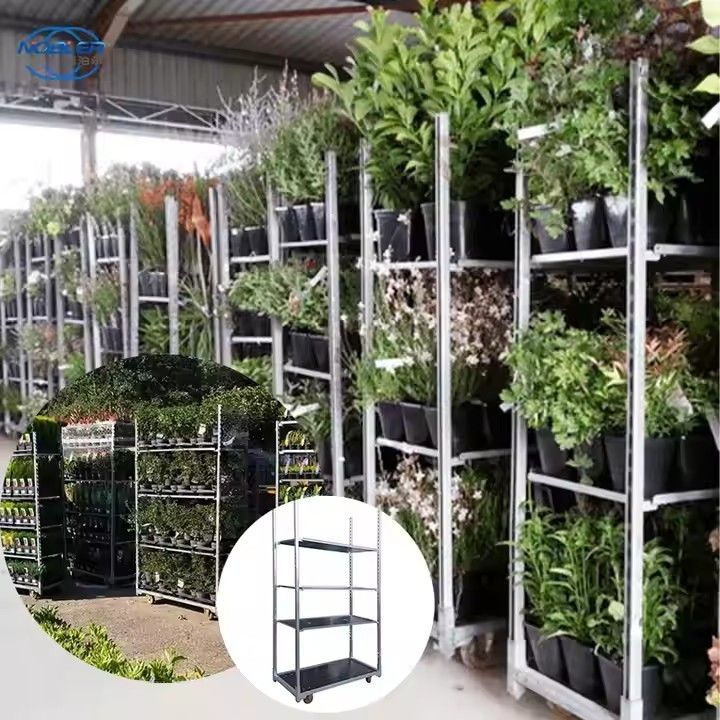 Kereta bunga tahan air Denmark dengan panas galvanis seng dan lapisan jaring bersih