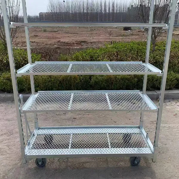 Hot Dip Galvanizing PP Caster 1350*565mm Pertanian Penanaman Bunga Keranjang Trolley Denmark untuk Treasury Harvest Trolley
