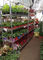 Troli tangan Bunga Troli Denmark Rak Plastik Supermarket Eksklusif Gunakan troli khusus